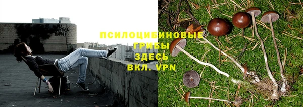 эйфоретик Волосово