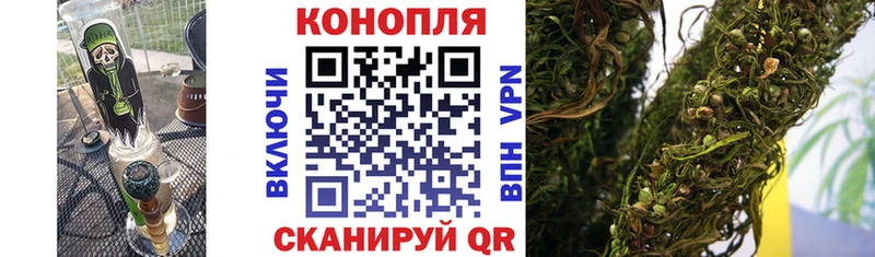 Каннабис семена  магазин продажи наркотиков  Льгов 